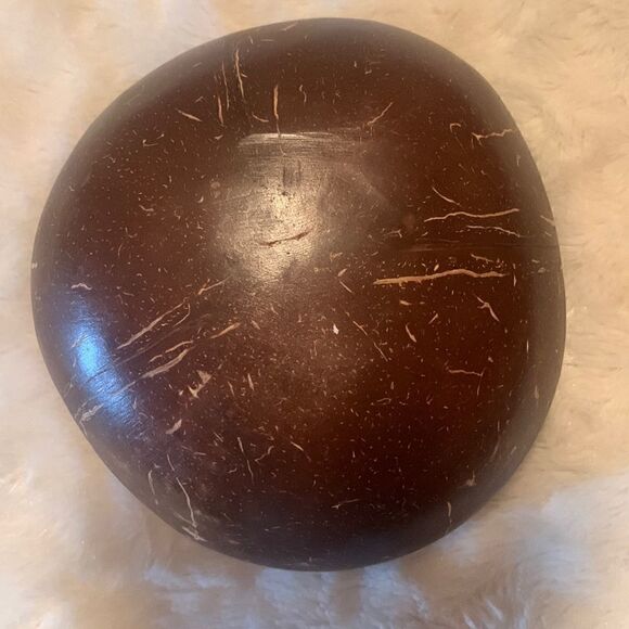 Hand Crafted Sea Shell and Coconut Shell Bowl Abalone - Picture 3 of 6